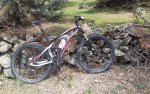 20120422_134504.jpg