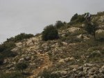 f 118_1024x768.jpg