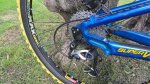 Raven 10.JPG
