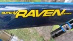 Raven 22.JPG