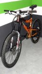 Mongoose (3).jpg