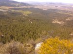 IMG_20130406_110056.jpg