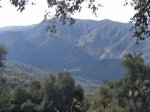 DSC03775.JPG