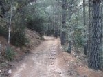 DSC03777.JPG