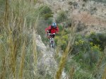 DSC00425.JPG