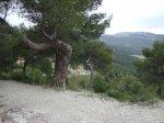 DSC00456.JPG