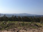 Foto 25-04-13 17 43 45.jpg
