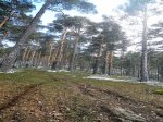 DSCN4205.jpg
