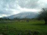 IMAG0079.JPG