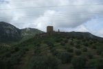DSCF0116.JPG