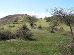 Imagen 016.jpg