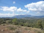 DSC03940.JPG