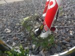 IMG-20130504-WA0001.jpg