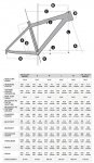 GEOMETRIA-SCALE.jpg