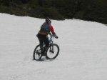 IMG_1560.jpg