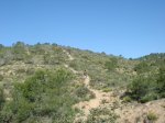 miravete 22-04-07 029.jpg