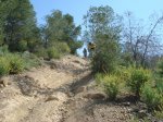 miravete 22-04-07 043.jpg