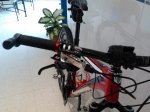 2013-03-06 11.56.36.jpg