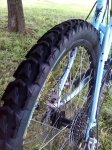 IMG_20130510_165304.jpg