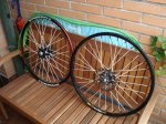 DSC03754.JPG