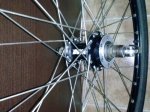 CAM00356rueda.jpg