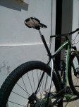 IMG_20130522_140810.jpg