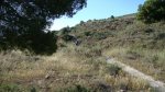 DSC00118.JPG