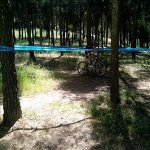 IMG_20130602_124853_300x300.jpg