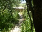 trialeras 007.jpg