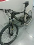 alma 010.jpg