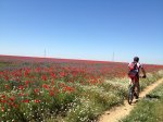 15.05.2013 009 (4) (Copiar).jpg