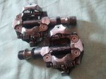 20130615_100054.jpg