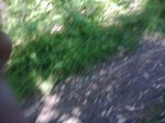 foto0060.jpg