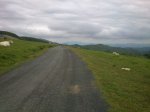 DSC_0927.JPG
