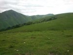 DSC_0931.JPG