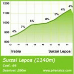 surzailepoa 7º PUERTO.gif