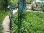 DSC08559.JPG