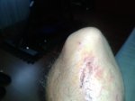 20130624_102008.jpg