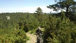 DSC_0440.jpg