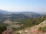 DSC04901.jpg