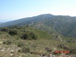 DSC04914.jpg