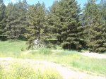 DSC00087.JPG