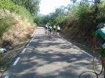 20130720_110255 [800x600].jpg