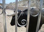 DSC00477.JPG