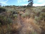 2013-08-06 08_48_12.jpg