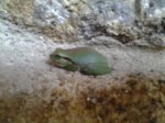 2013-08-08 14_26_42.jpg