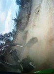 1234758_10202047821855818_187218452_n.jpg