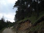 sant julia (bergueda)017.JPG