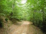 sant julia (bergueda)067.JPG