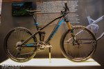 Canyon Nerve AL.jpg